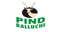 PIND BALLUNCHI